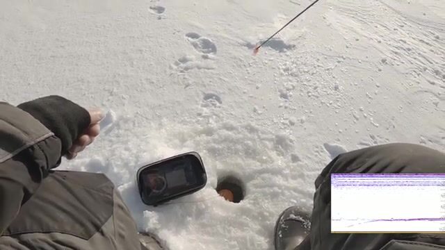 Зимний сиг на мушку на Онежском озере
