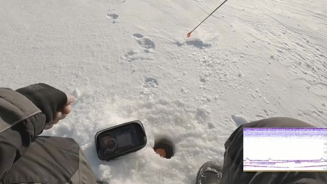 Зимний сиг на мушку на Онежском озере