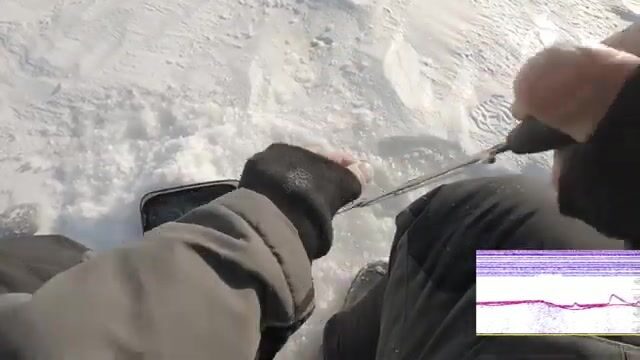 Зимний сиг на мушку на Онежском озере