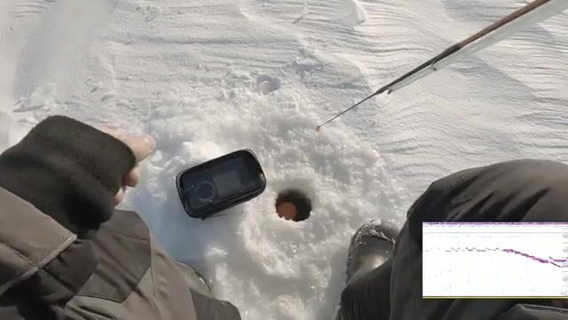 Зимний сиг на мушку на Онежском озере