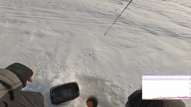 Зимний сиг на мушку на Онежском озере