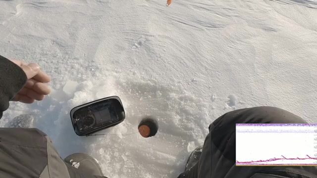 Зимний сиг на мушку на Онежском озере