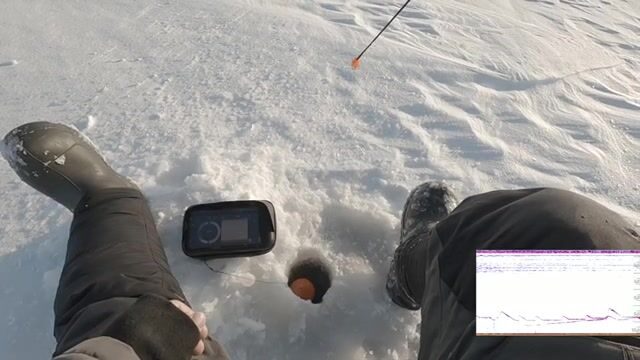 Зимний сиг на мушку на Онежском озере