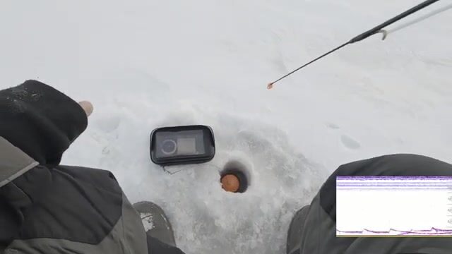 Зимний сиг на мушку на Онежском озере