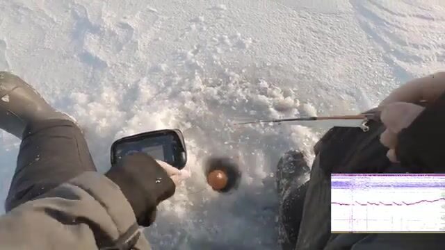 Зимний сиг на мушку на Онежском озере