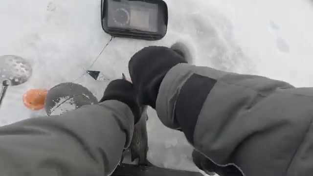 Зимний сиг на мушку на Онежском озере