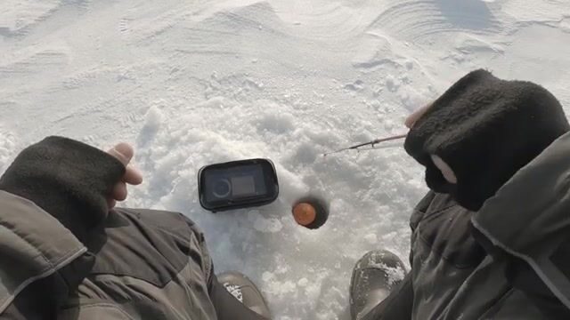 Зимний сиг на мушку на Онежском озере