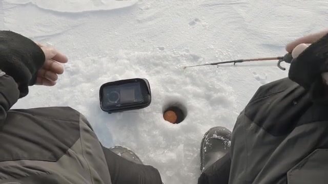Зимний сиг на мушку на Онежском озере