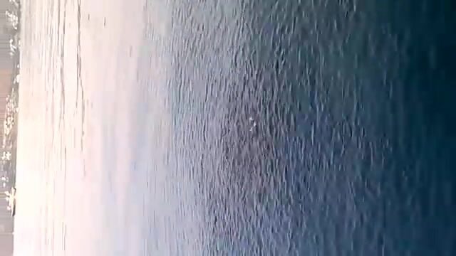 Семь мелануров поймали в Ялыкаваке вместе с Умитом и Альпером