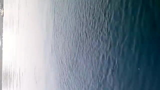 Семь мелануров поймали в Ялыкаваке вместе с Умитом и Альпером