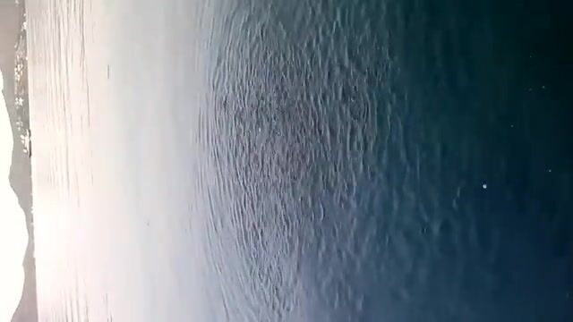 Семь мелануров поймали в Ялыкаваке вместе с Умитом и Альпером