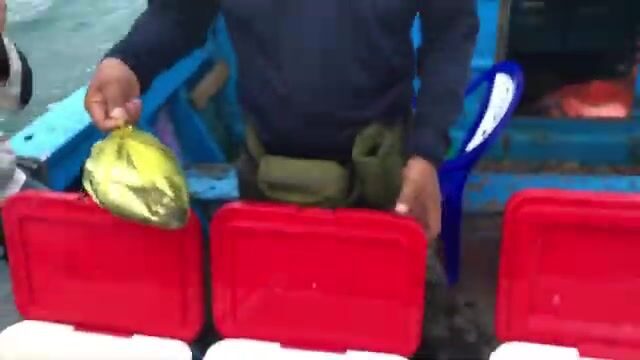 Рыбалка у Хонхо в Куинёне - ловля с лодки и общий обед