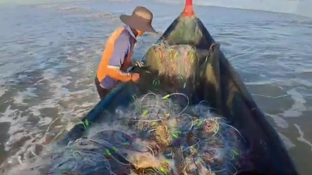 Улов крабов у рыбака Хиепа на пляже в Хотраме