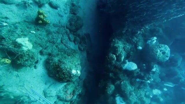 Крупные крылатки с Кевином и капитаном Биллом, сходы и дуплет в Доминике