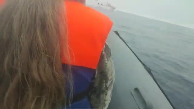 Ночной приезд на Русский остров и утренняя камбала с минтаем