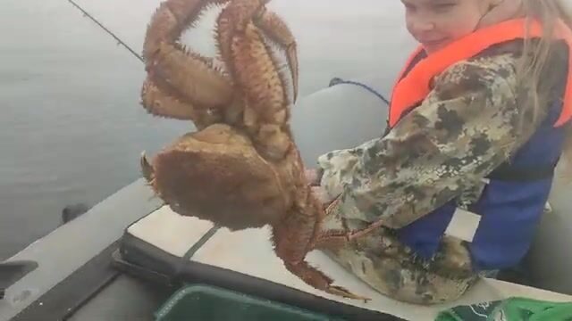 Ночной приезд на Русский остров и утренняя камбала с минтаем