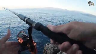 Две рыбы на одной снасти: береговой спиннинг и морской азарт
