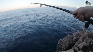 Две рыбы на одной снасти: береговой спиннинг и морской азарт