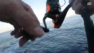 Две рыбы на одной снасти: береговой спиннинг и морской азарт