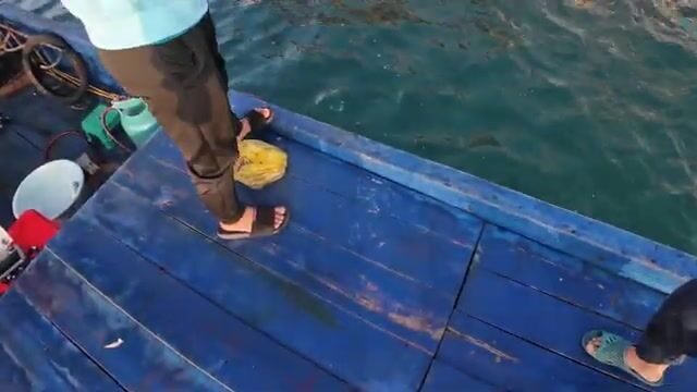 Утренняя ловля у промыслового судна возле Тханьлана