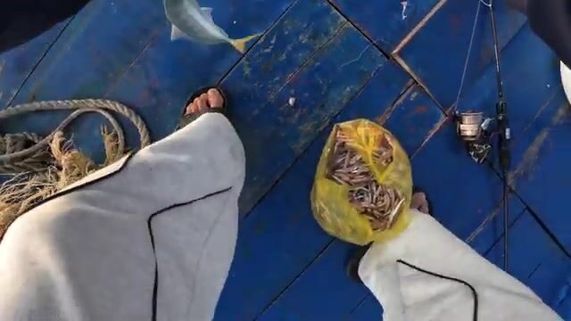Утренняя ловля у промыслового судна возле Тханьлана