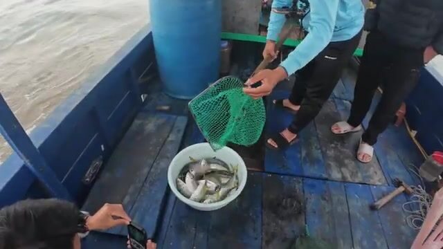 Утренняя ловля у промыслового судна возле Тханьлана