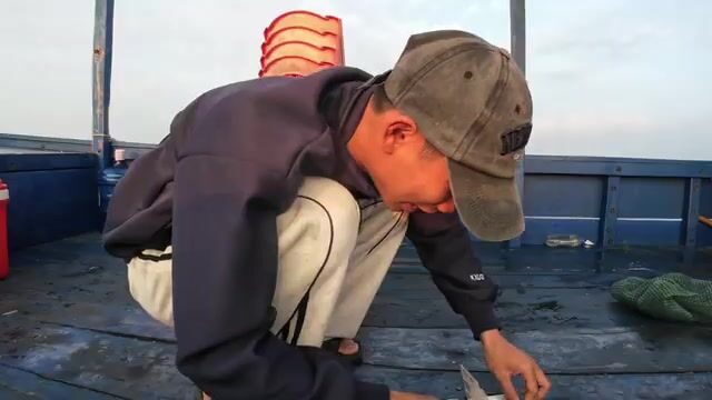Утренняя ловля у промыслового судна возле Тханьлана