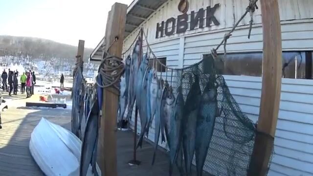 Народная рыбалка во Владивостоке: наш командный выход в бухте Новик