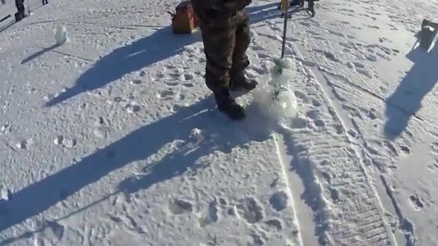Народная рыбалка во Владивостоке: наш командный выход в бухте Новик