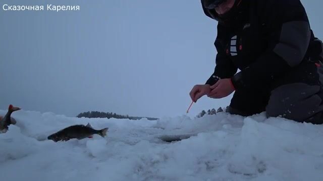 Зимняя рыбалка на Онежском озере у Ивановских островов