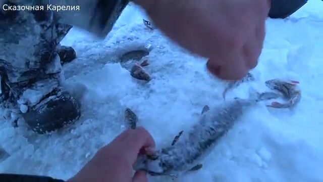 Зимняя рыбалка на Онежском озере у Ивановских островов