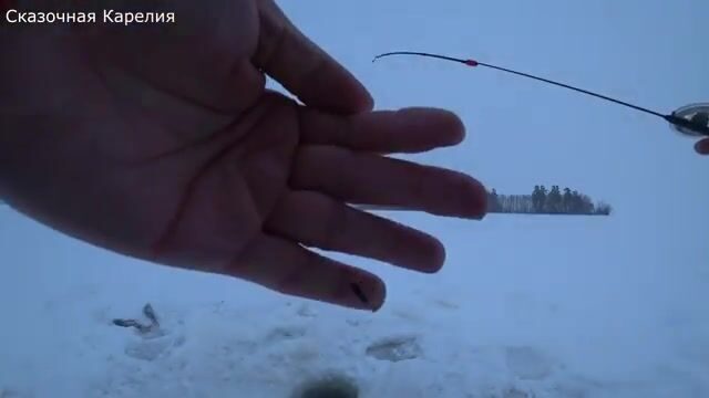 Зимняя рыбалка на Онежском озере у Ивановских островов