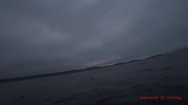 Ночная ловля кальмара с лодки у Русского острова