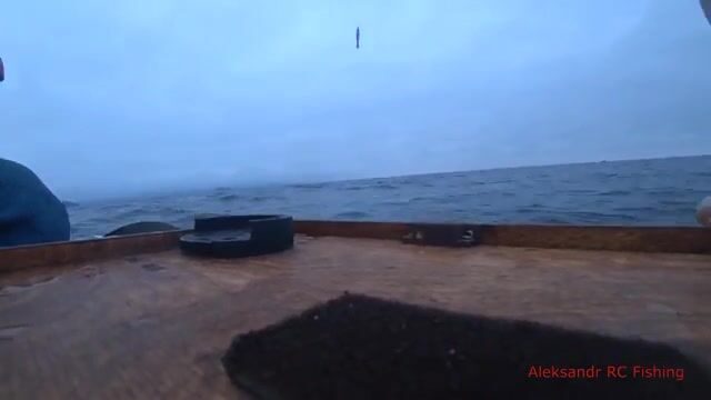 Ночная ловля кальмара с лодки у Русского острова