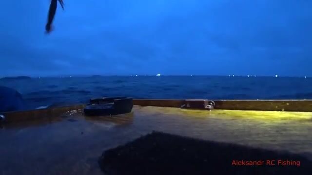 Ночная ловля кальмара с лодки у Русского острова