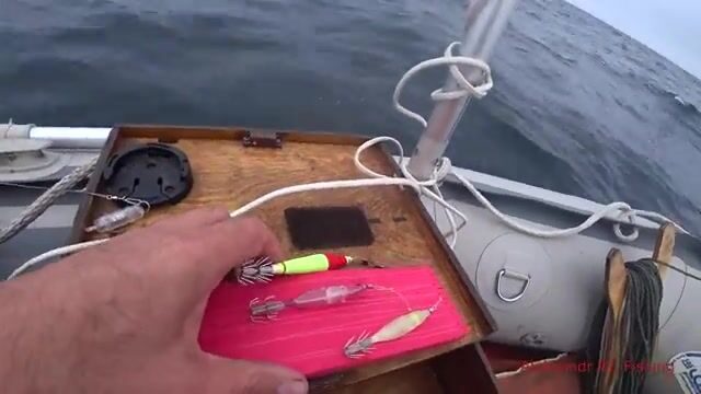 Ночная ловля кальмара с лодки у Русского острова
