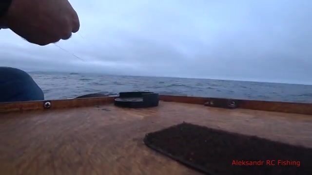 Ночная ловля кальмара с лодки у Русского острова