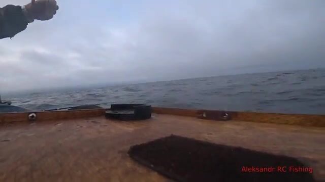 Ночная ловля кальмара с лодки у Русского острова