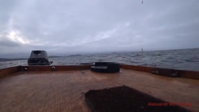 Ночная ловля кальмара с лодки у Русского острова