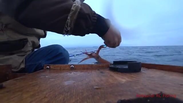 Ночная ловля кальмара с лодки у Русского острова