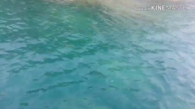 Вечерняя ловля с товарищем у канатной дороги на Фукуоке