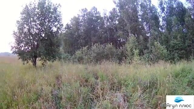 Ночной подлещик на кукурузу и оживление клева на опарыша в Приморске