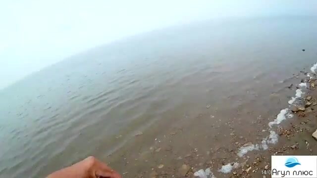 Ночной подлещик на кукурузу и оживление клева на опарыша в Приморске