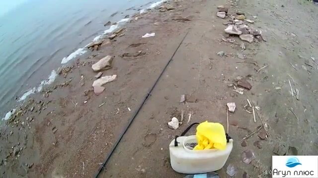 Ночной подлещик на кукурузу и оживление клева на опарыша в Приморске