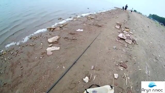 Ночной подлещик на кукурузу и оживление клева на опарыша в Приморске