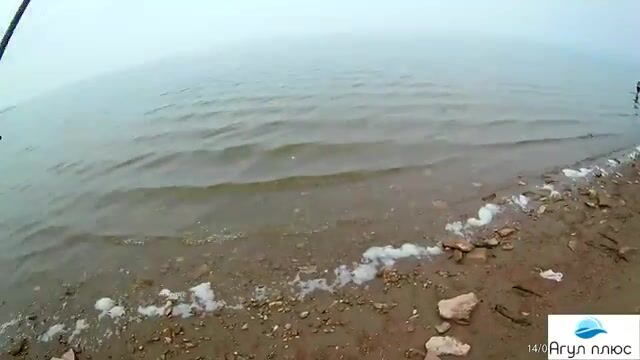 Ночной подлещик на кукурузу и оживление клева на опарыша в Приморске