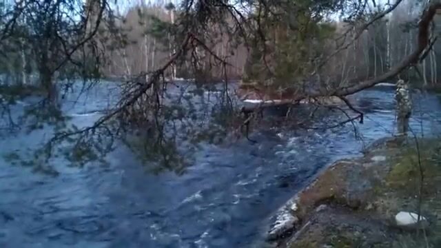 Поездка на Онегу и Ладогу