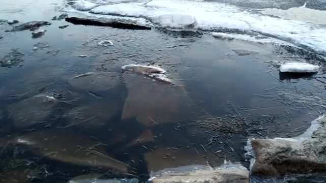 Поездка на Онегу и Ладогу