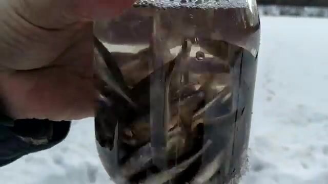 Поездка на Онегу и Ладогу