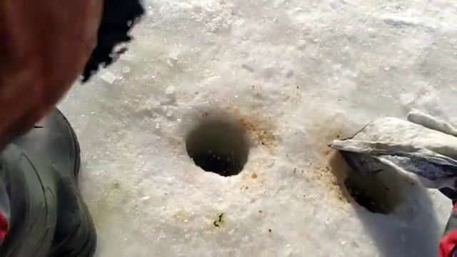 Поездка на Онегу и Ладогу